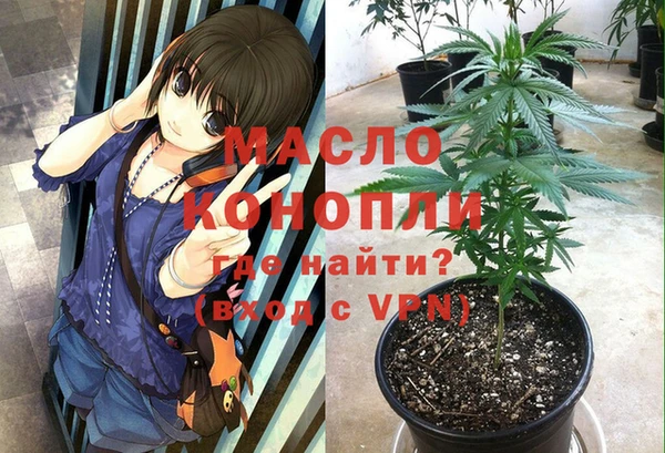 мет Няндома