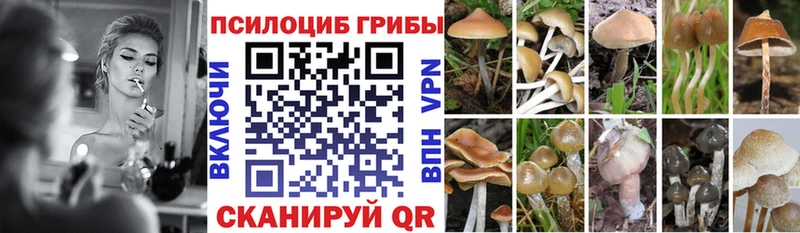 Псилоцибиновые грибы Cubensis мега ONION Починок
